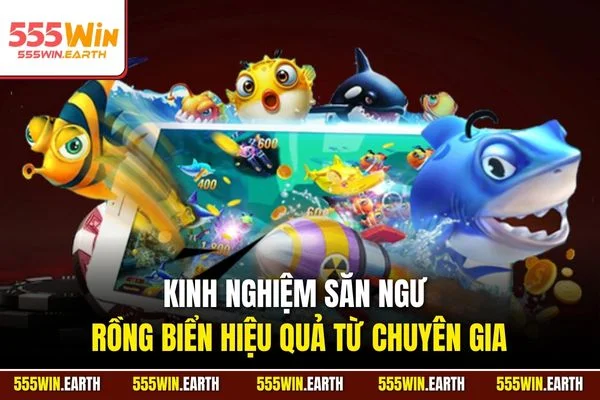 Kinh nghiệm săn ngư rồng biển hiệu quả từ chuyên gia